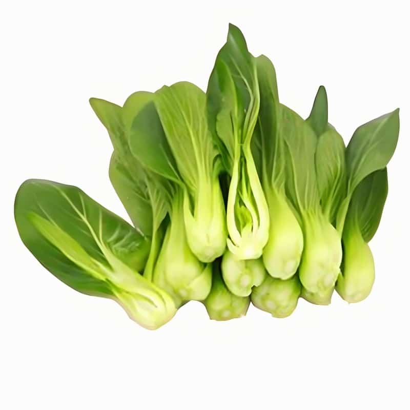 春季氣候變化多端 謹(jǐn)防發(fā)生眼病早春
