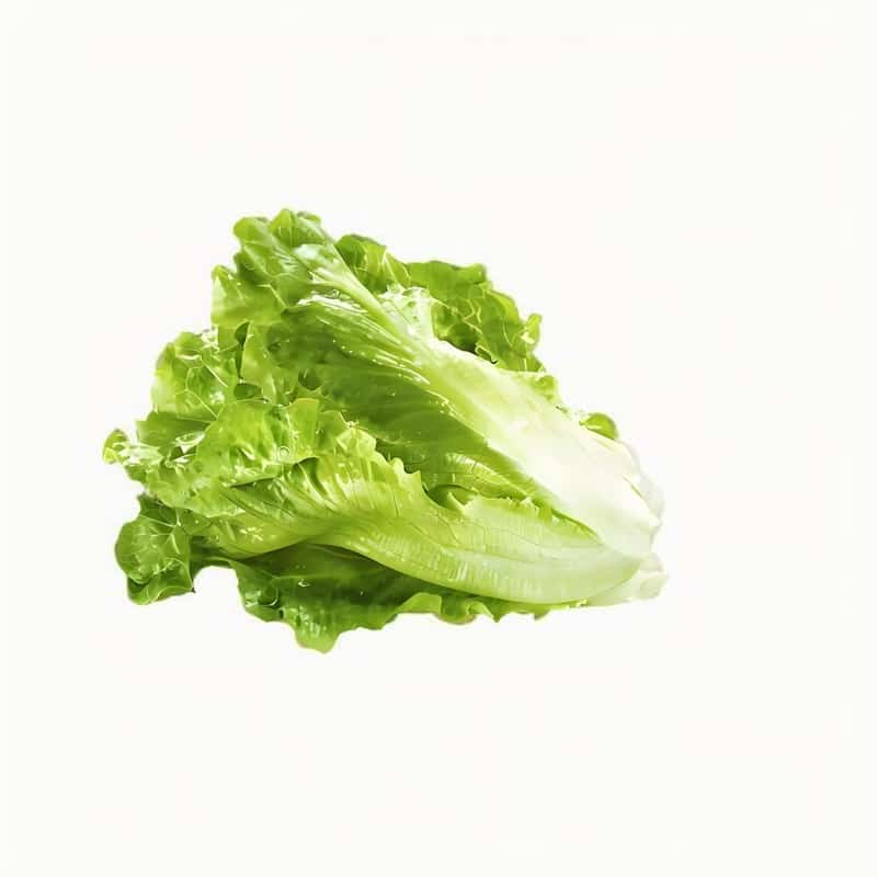 春季氣候多變 寶寶怎么呵護(hù)？早春