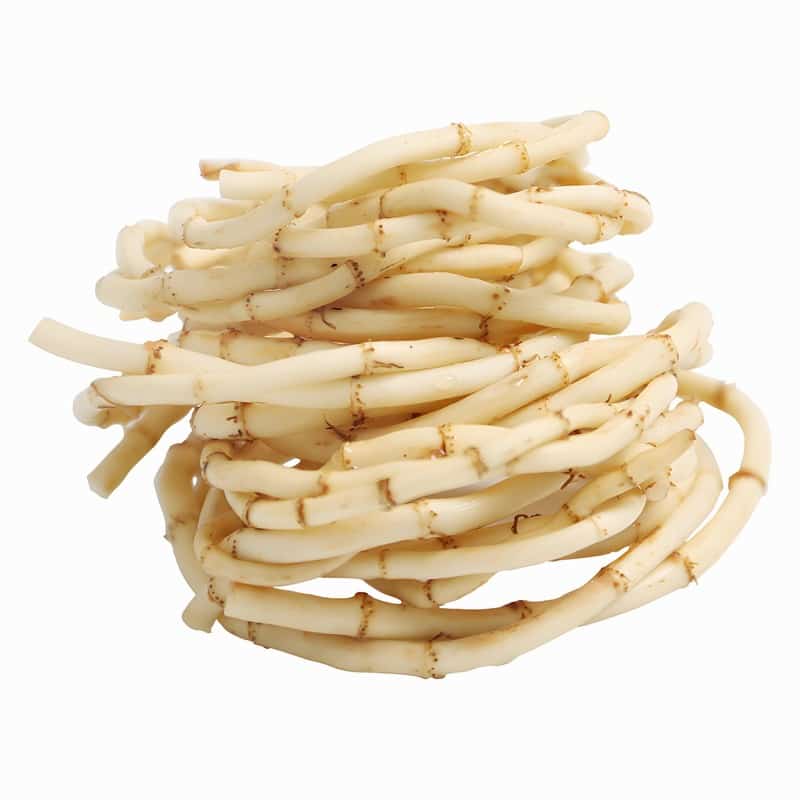 春季卡他性結(jié)膜炎早春