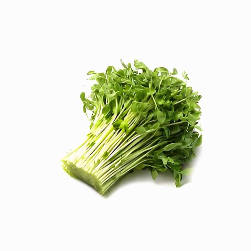 春季排毒養(yǎng)肝 常見排毒菜必吃早春