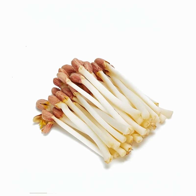 甲溝炎吃消炎藥會好嗎 什么是甲溝炎