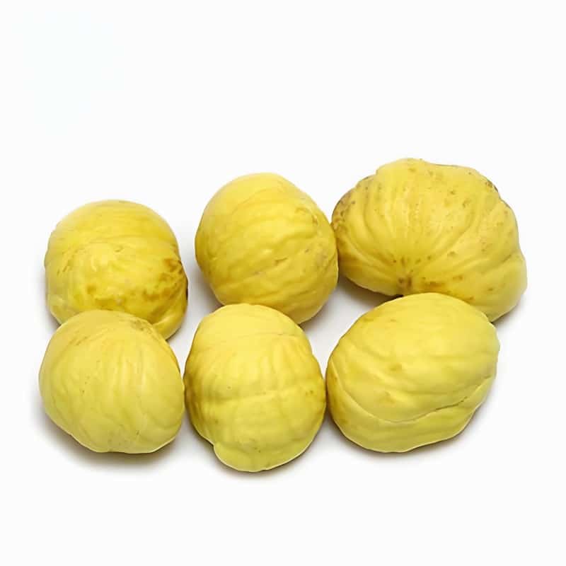 春季嬌顏防過敏早春